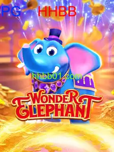 WonderElephant